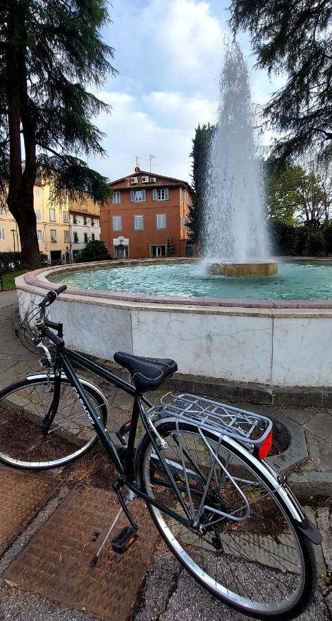 Claudia'S Home Pescia Dış mekan fotoğraf